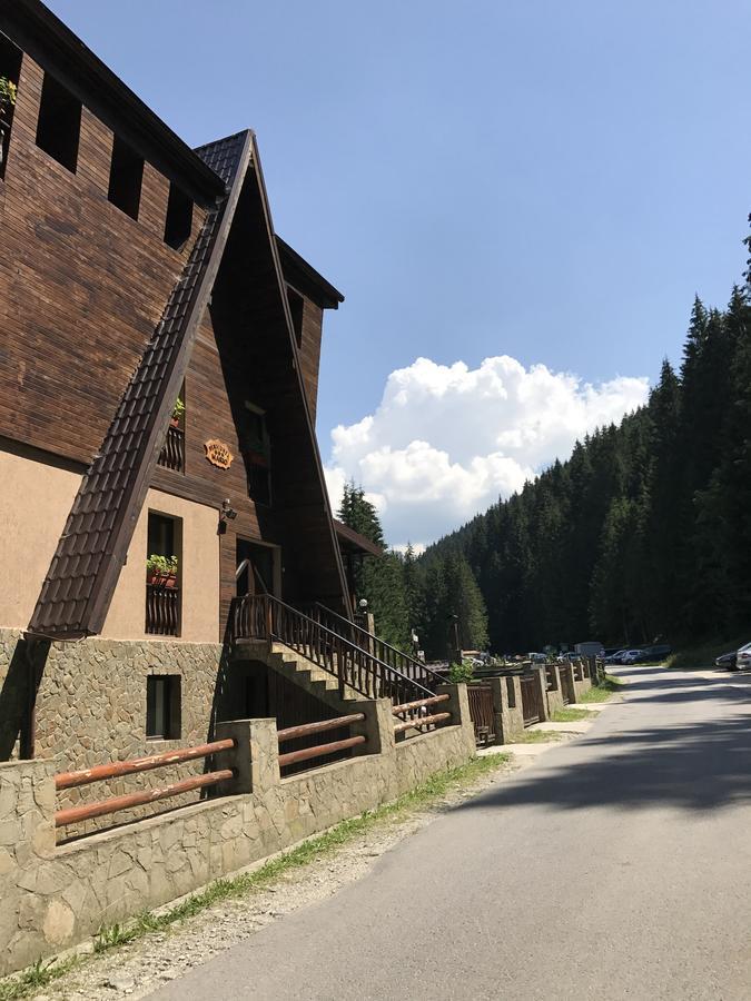 Pensiunea Mario Moeciu De Sus Exterior foto